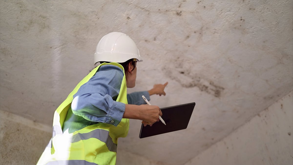 Architect inspecting ceiling mold and water damage inside a building, documenting structural deterioration